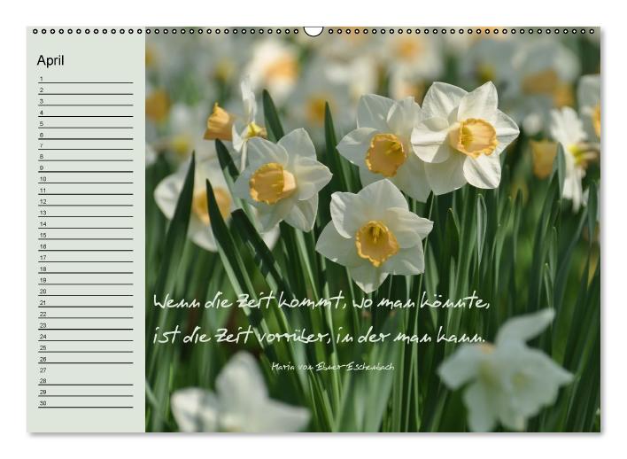 Vergiss mein nicht Geburtstagskalender (Wandkalender immerwährend DIN A2 quer) (CALVENDO Wandkalender 0)