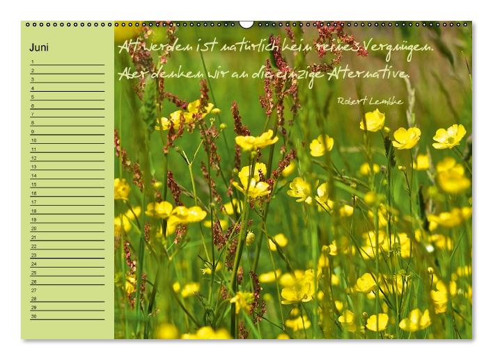 Vergiss mein nicht Geburtstagskalender (Wandkalender immerwährend DIN A2 quer) (CALVENDO Wandkalender 0)