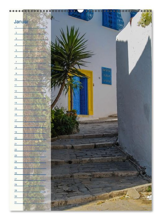 Richtung Süden / Geburtstagskalender (Wandkalender immerwährend DIN A2 hoch) (CALVENDO Wandkalender 0)