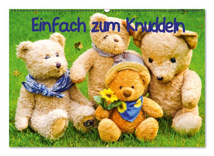 Einfach zum Knuddeln / Geburtstagskalender (Wandkalender immerwährend DIN A2 quer) (CALVENDO Wandkalender 0)