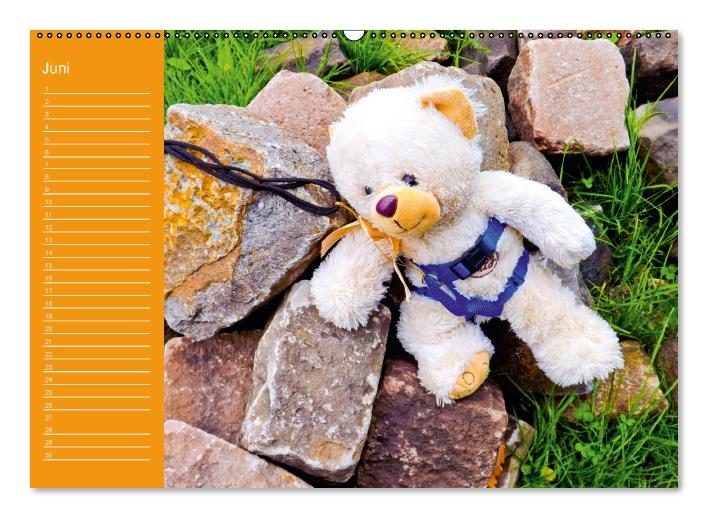 Einfach zum Knuddeln / Geburtstagskalender (Wandkalender immerwährend DIN A2 quer) (CALVENDO Wandkalender 0)