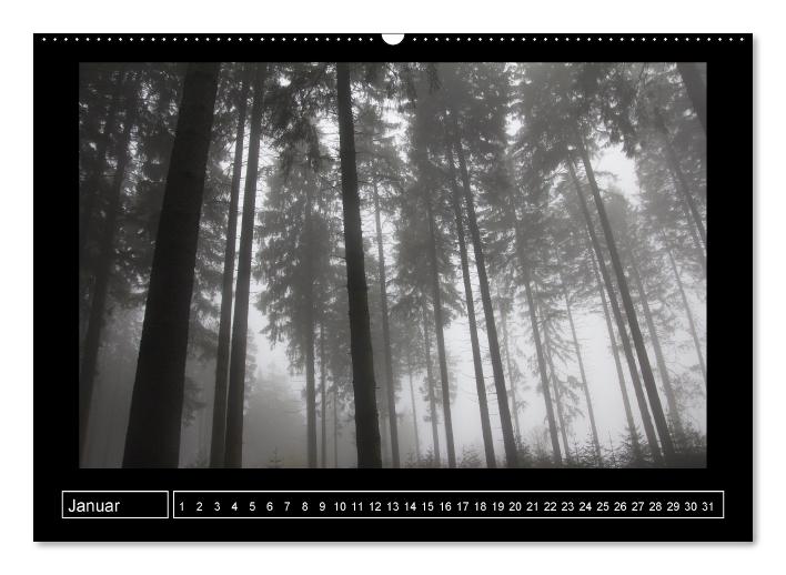 Wildes Sauerland (Wandkalender immerwährend DIN A2 quer) (CALVENDO Wandkalender 2014)