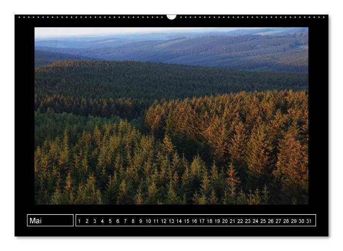 Wildes Sauerland (Wandkalender immerwährend DIN A2 quer) (CALVENDO Wandkalender 2014)