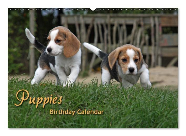 Puppies Birthday Calendar / UK-Version (Wall Calendar perpetual DIN A2 Landscape) (CALVENDO Monthly Calendar 0)