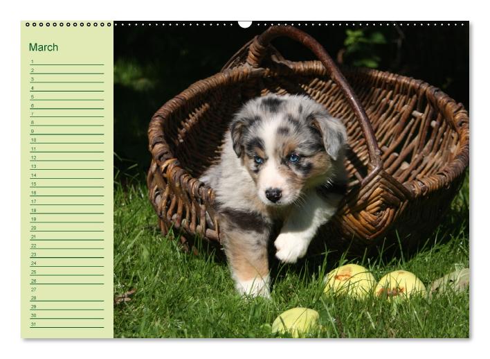 Puppies Birthday Calendar / UK-Version (Wall Calendar perpetual DIN A2 Landscape) (CALVENDO Monthly Calendar 0)