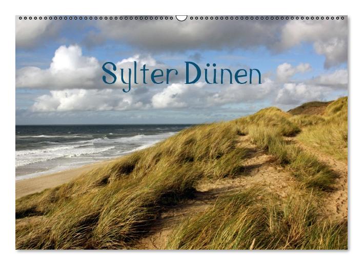 Sylter Dünen (Wandkalender immerwährend DIN A2 quer) (CALVENDO Wandkalender 2014)