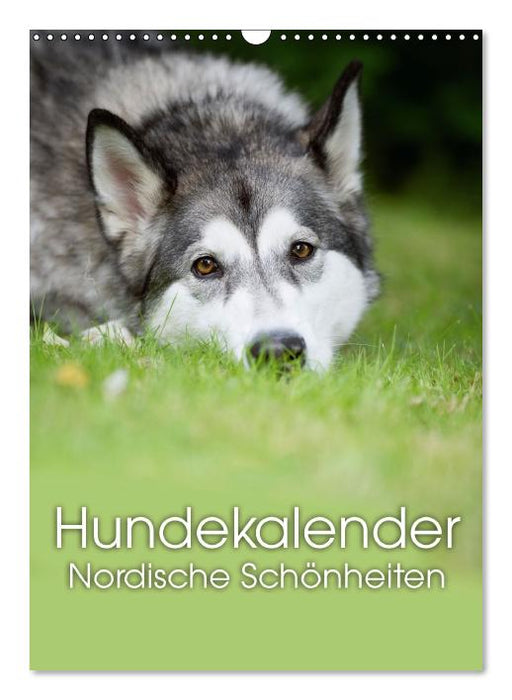 Hundekalender - Nordische Schönheiten (Wandkalender immerwährend DIN A3 hoch) (CALVENDO Wandkalender 0)