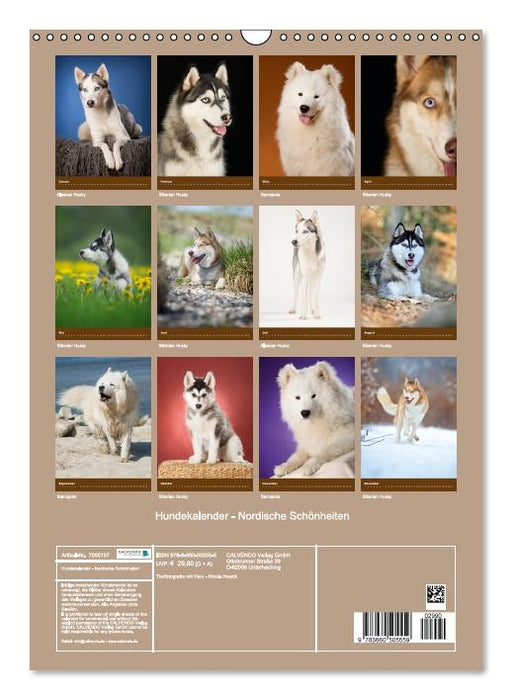 Hundekalender - Nordische Schönheiten (Wandkalender immerwährend DIN A3 hoch) (CALVENDO Wandkalender 0)