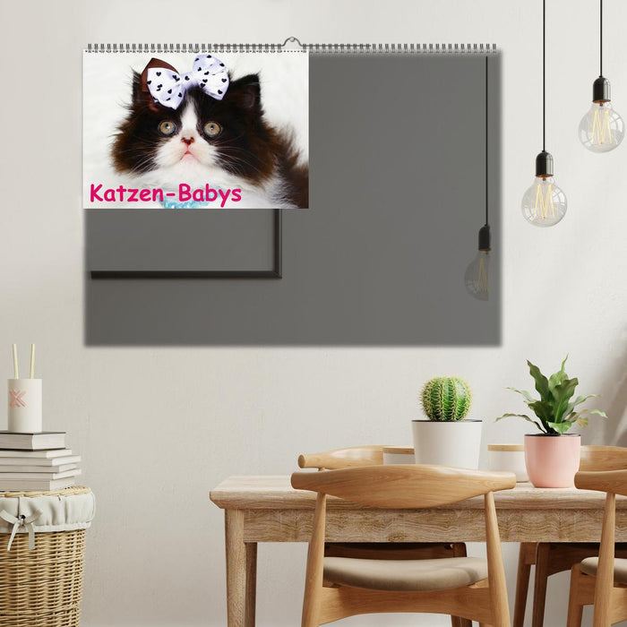 Katzen-Babys (Wandkalender immerwährend DIN A2 quer) (CALVENDO Wandkalender 2014)