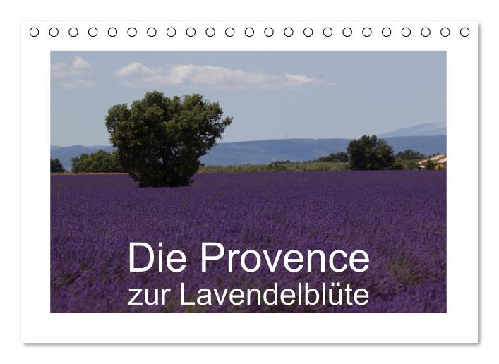 Die Provence zur Lavendelblüte (Tischkalender immerwährend DIN A5 quer) (CALVENDO Wandkalender 2015)