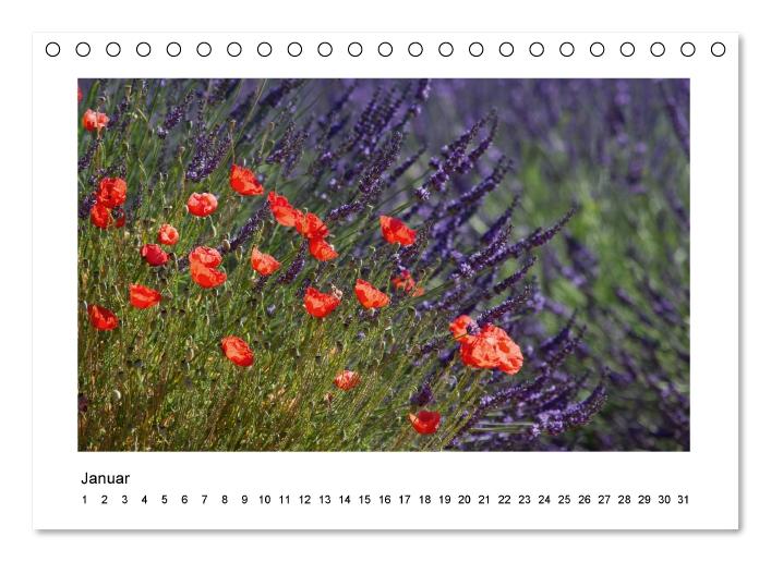 Die Provence zur Lavendelblüte (Tischkalender immerwährend DIN A5 quer) (CALVENDO Wandkalender 2015)