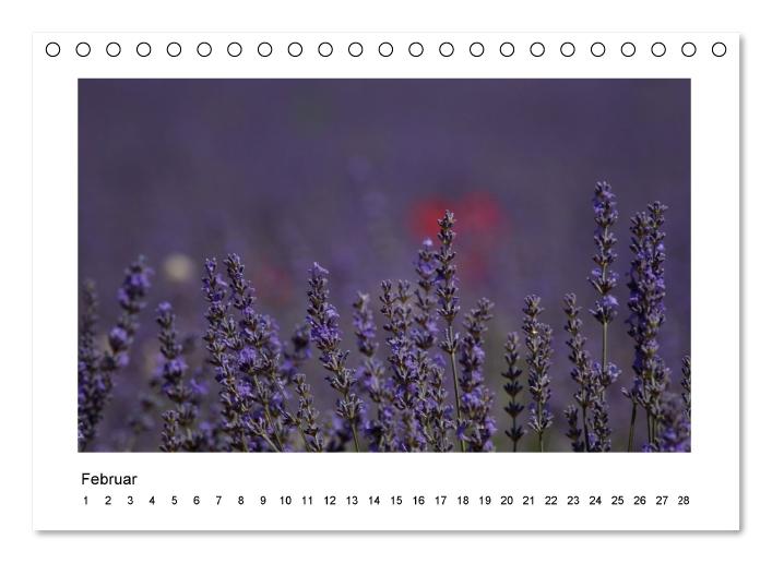 Die Provence zur Lavendelblüte (Tischkalender immerwährend DIN A5 quer) (CALVENDO Wandkalender 2015)