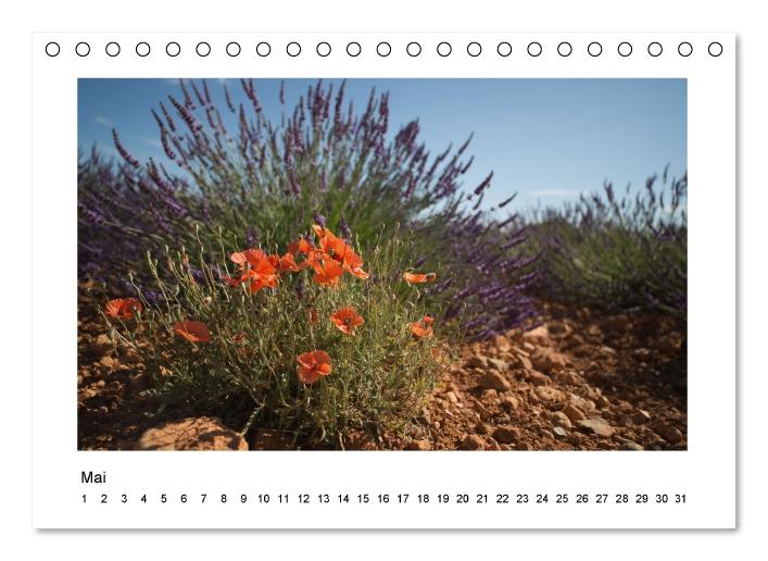 Die Provence zur Lavendelblüte (Tischkalender immerwährend DIN A5 quer) (CALVENDO Wandkalender 2015)