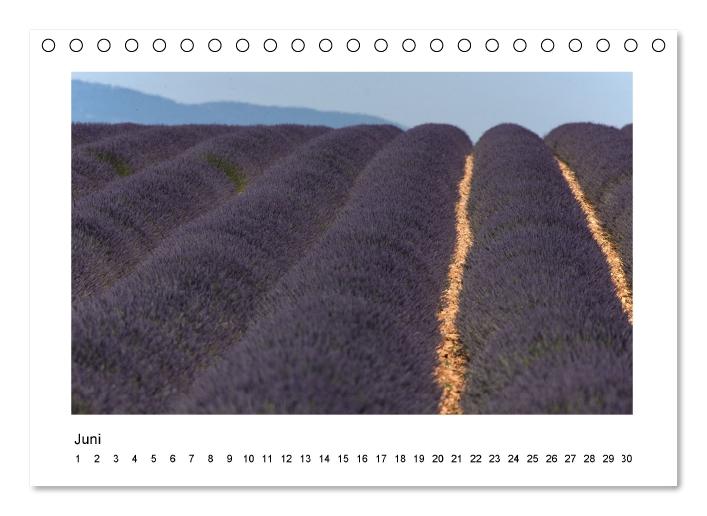 Die Provence zur Lavendelblüte (Tischkalender immerwährend DIN A5 quer) (CALVENDO Wandkalender 2015)