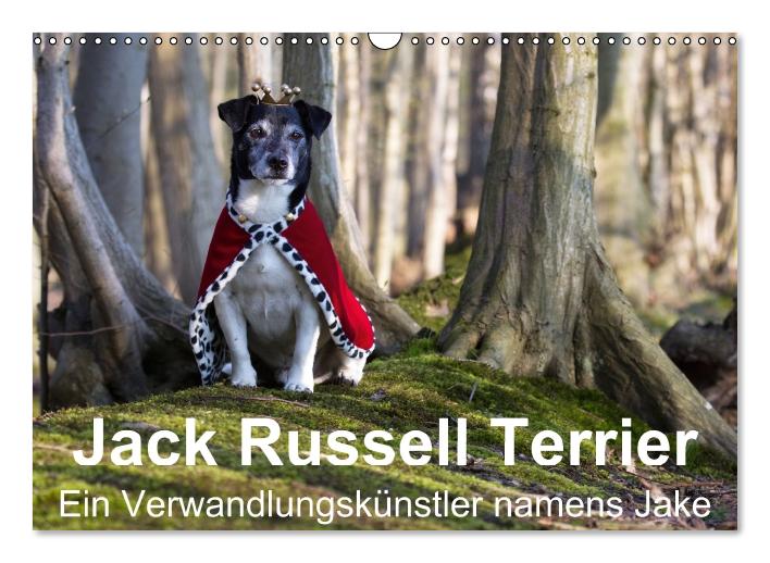 Jack Russell Terrier - Ein Verwandlungskünstler namens Jake / Geburtstagskalender (Wandkalender immerwährend DIN A3 quer) (CALVENDO Wandkalender 2015)