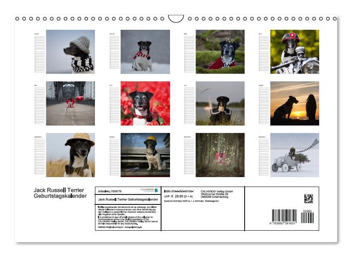 Jack Russell Terrier - Ein Verwandlungskünstler namens Jake / Geburtstagskalender (Wandkalender immerwährend DIN A3 quer) (CALVENDO Wandkalender 2015)