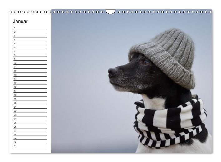 Jack Russell Terrier - Ein Verwandlungskünstler namens Jake / Geburtstagskalender (Wandkalender immerwährend DIN A3 quer) (CALVENDO Wandkalender 2015)