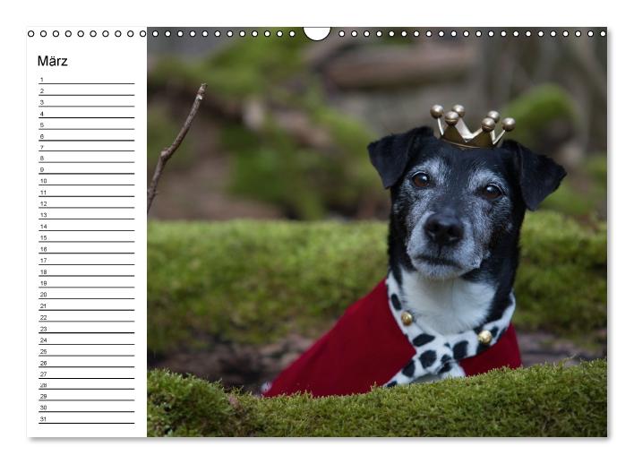 Jack Russell Terrier - Ein Verwandlungskünstler namens Jake / Geburtstagskalender (Wandkalender immerwährend DIN A3 quer) (CALVENDO Wandkalender 2015)