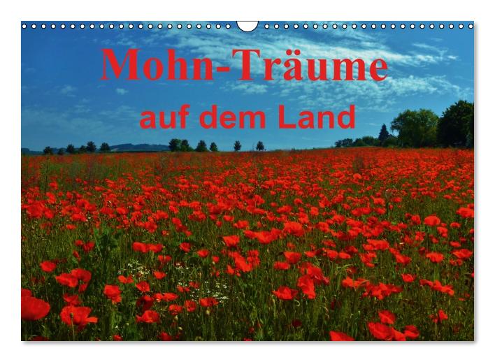 Mohn-Träume auf dem Land (Wandkalender immerwährend DIN A3 quer) (CALVENDO Wandkalender 2015)