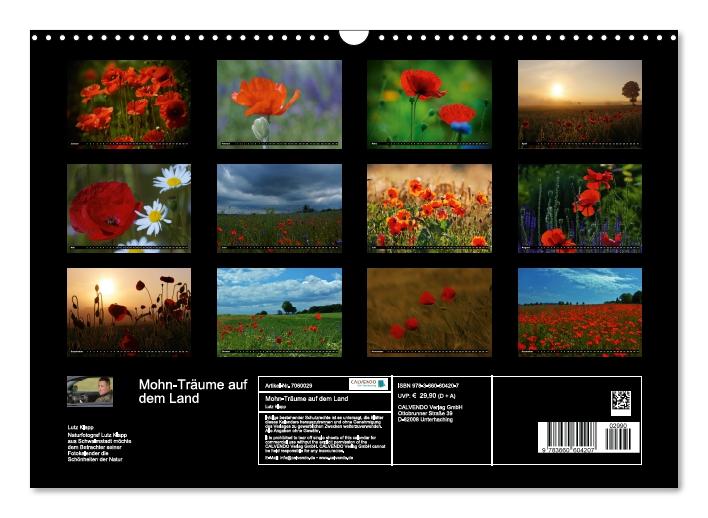 Mohn-Träume auf dem Land (Wandkalender immerwährend DIN A3 quer) (CALVENDO Wandkalender 2015)