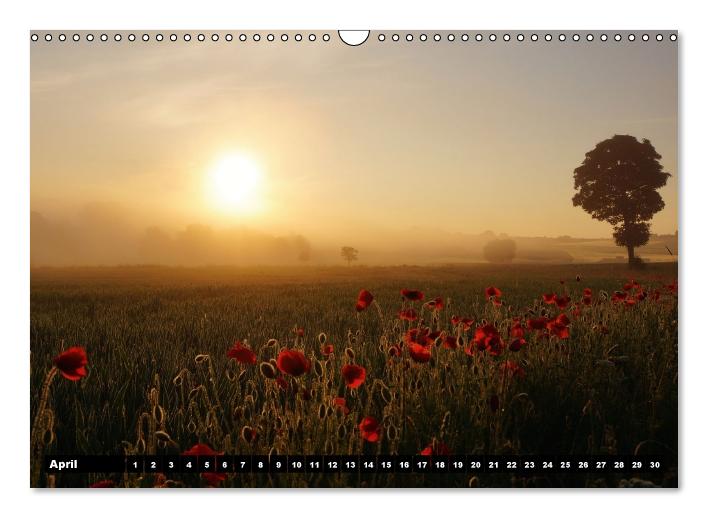 Mohn-Träume auf dem Land (Wandkalender immerwährend DIN A3 quer) (CALVENDO Wandkalender 2015)