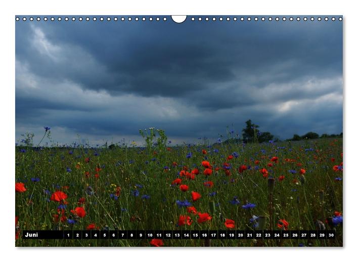 Mohn-Träume auf dem Land (Wandkalender immerwährend DIN A3 quer) (CALVENDO Wandkalender 2015)