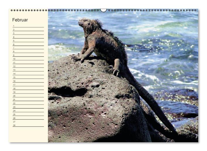 Galápagos Geburtstagskalender (Wandkalender immerwährend DIN A2 quer) (CALVENDO Wandkalender 2015)