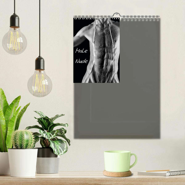 Male Nude (Wandkalender immerwährend DIN A4 hoch) (CALVENDO Wandkalender 2015)