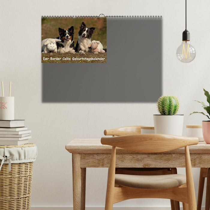 Der Border Collie Geburtstagskalender (Wandkalender immerwährend DIN A3 quer) (CALVENDO Wandkalender 2014)