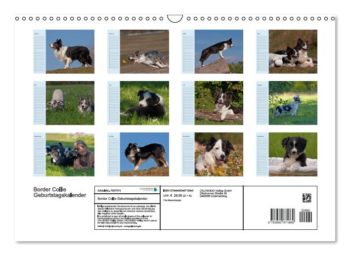 Der Border Collie Geburtstagskalender (Wandkalender immerwährend DIN A3 quer) (CALVENDO Wandkalender 2014)