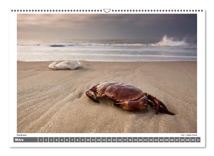 Nordsee - Impressionen einer Landschaft am Meer (Wandkalender immerwährend DIN A2 quer) (CALVENDO Wandkalender 2014)