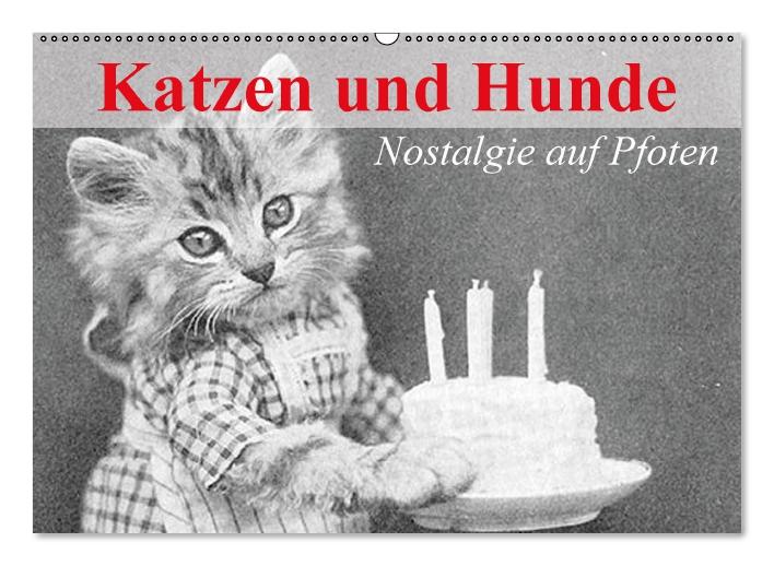 Katzen und Hunde - Nostalgie auf Pfoten (Wandkalender immerwährend DIN A2 quer) (CALVENDO Wandkalender 2015)