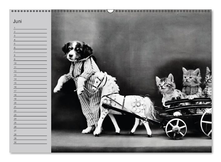 Katzen und Hunde - Nostalgie auf Pfoten (Wandkalender immerwährend DIN A2 quer) (CALVENDO Wandkalender 2015)