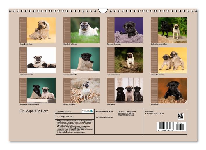 Ein Mops fürs Herz (Wandkalender immerwährend DIN A3 quer) (CALVENDO Wandkalender 2015)