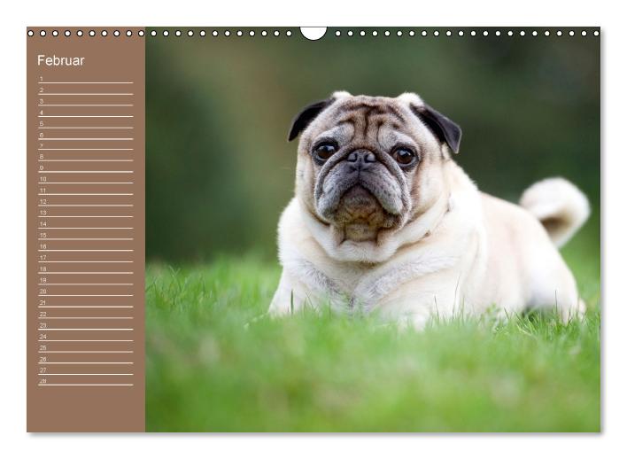 Ein Mops fürs Herz (Wandkalender immerwährend DIN A3 quer) (CALVENDO Wandkalender 2015)