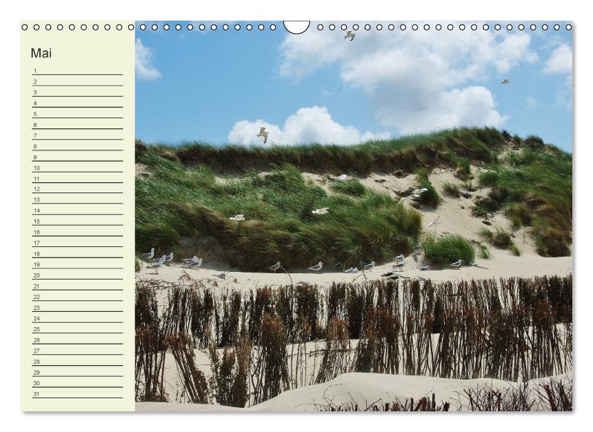 Amrum Geburtstagsmerker (Wandkalender immerwährend DIN A3 quer) (CALVENDO Wandkalender 2016)