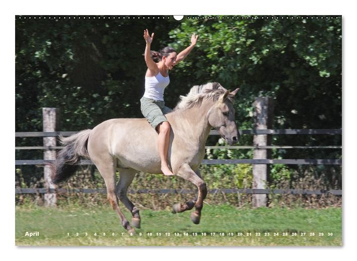 Dülmener Wildpferde - Gefährdete Nutztierrasse (Wandkalender immerwährend DIN A2 quer) (CALVENDO Wandkalender 2014)