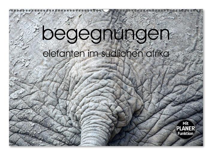 begegnungen - elefanten im südlichen afrika (Wandkalender immerwährend DIN A2 quer) (CALVENDO Wandkalender 2016)