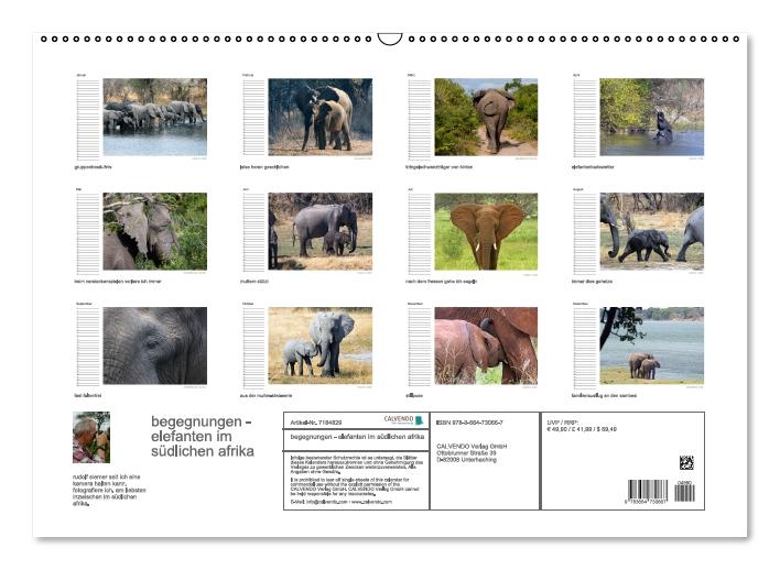 begegnungen - elefanten im südlichen afrika (Wandkalender immerwährend DIN A2 quer) (CALVENDO Wandkalender 2016)