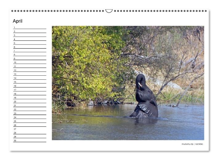 begegnungen - elefanten im südlichen afrika (Wandkalender immerwährend DIN A2 quer) (CALVENDO Wandkalender 2016)