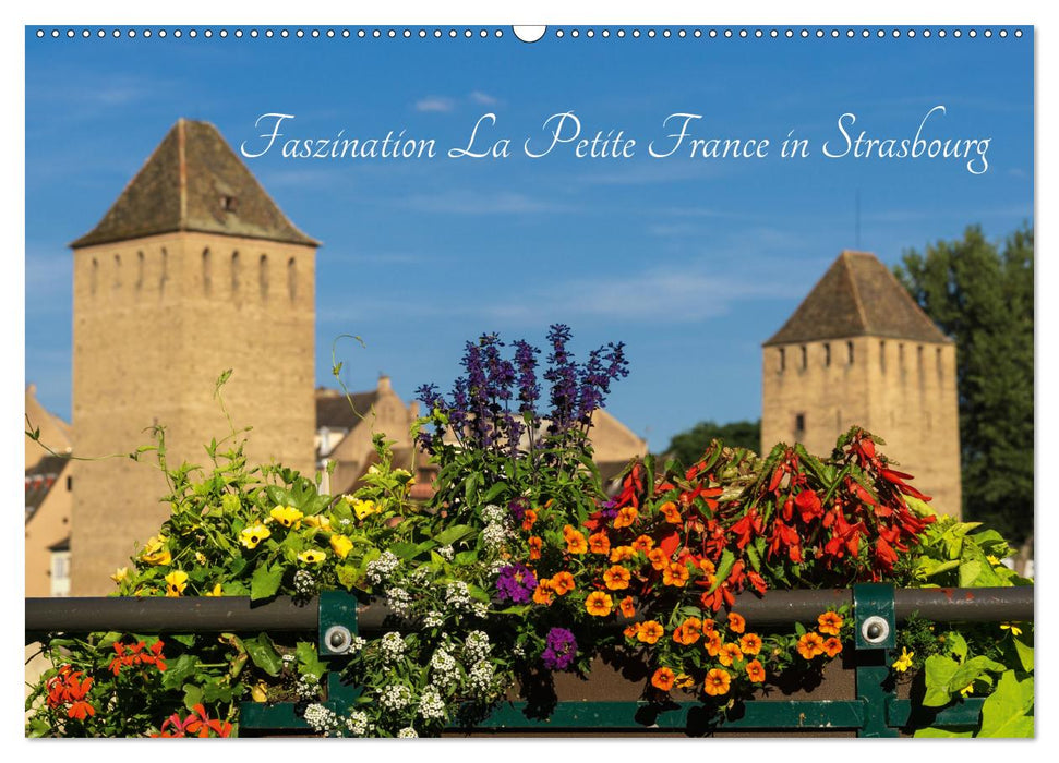 Faszination La Petite France in Strasbourg (Wandkalender immerwährend DIN A2 quer) (CALVENDO Wandkalender 2017)