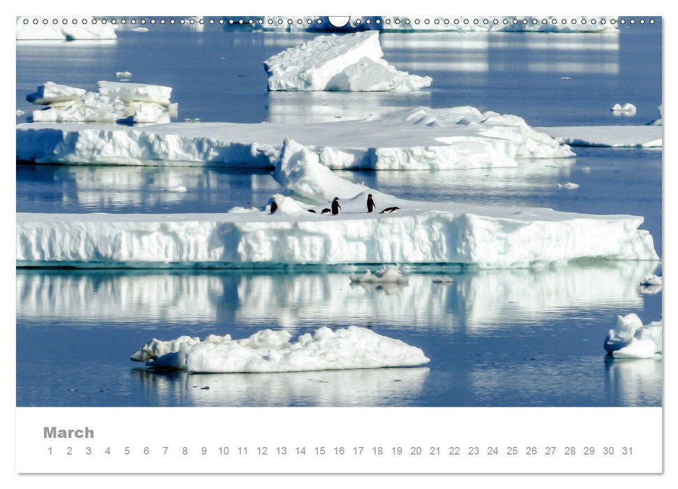 ANTARCTICA UK-Version (Premium-Calendar perpetual DIN A2 Landscape) (CALVENDO Premium-Calendar 2014)