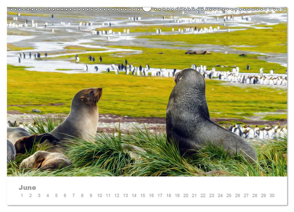 ANTARCTICA UK-Version (Premium-Calendar perpetual DIN A2 Landscape) (CALVENDO Premium-Calendar 2014)