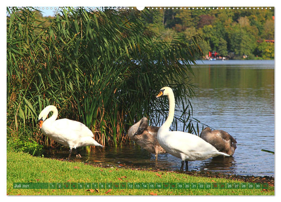 Momente am Weßlinger See (CALVENDO Premium Wandkalender 2021)