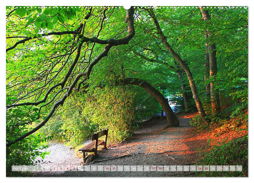 Momente am Weßlinger See (CALVENDO Wandkalender 2021)