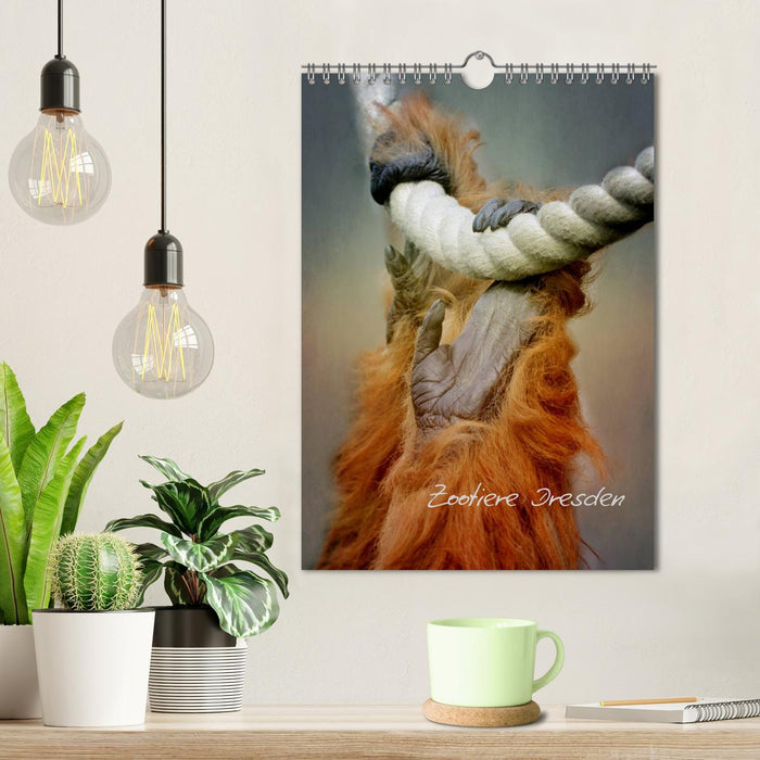 Zootiere Dresden (CALVENDO Wandkalender 2018)