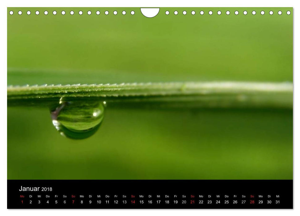 Fotografische Kostbarkeiten (CALVENDO Wandkalender 2018)