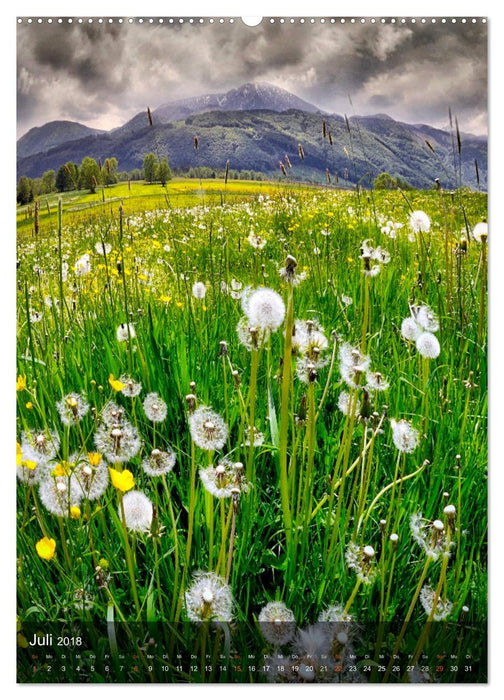 Geschenke der Zeit (CALVENDO Premium Wandkalender 2018)