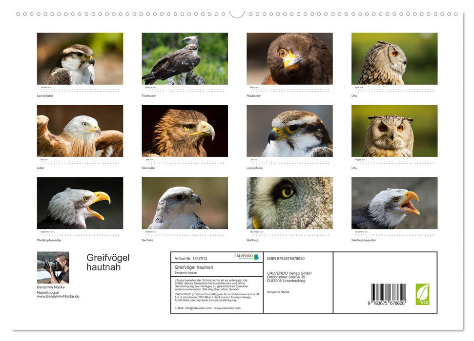 Greifvögel hautnah (CALVENDO Premium Wandkalender 2014)