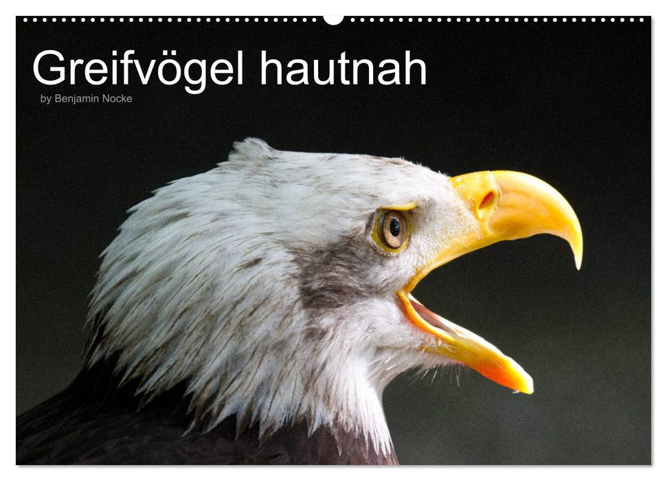 Greifvögel hautnah (CALVENDO Wandkalender 2014)